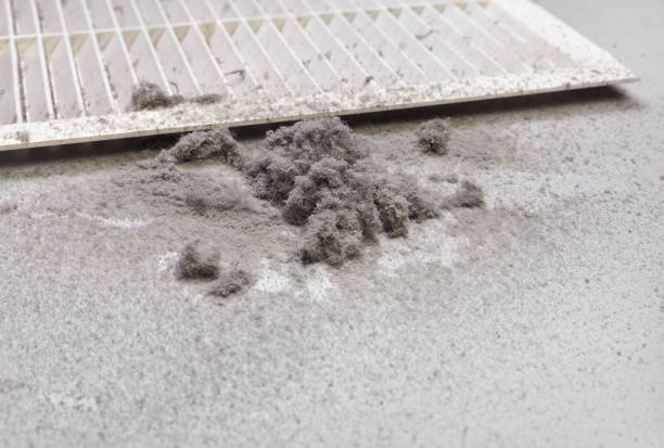Best Air Duct Sanitizing Services  in Wyong, MI