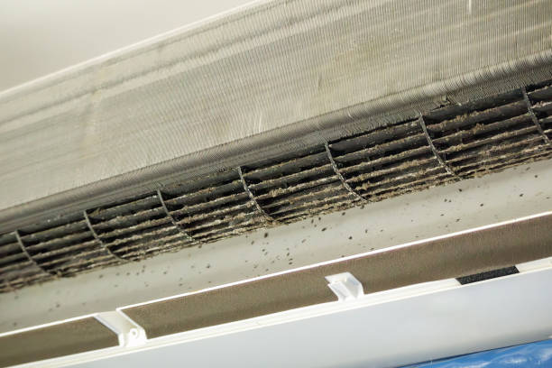 Best Ductwork Cleaning Services  in Wyong, MI